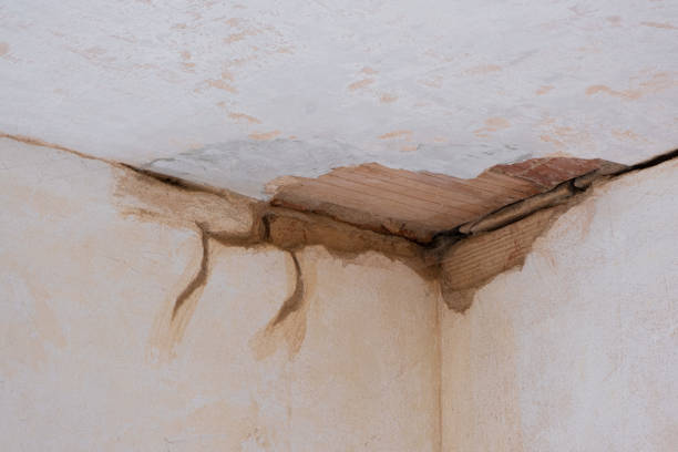 Best Ceiling water damage repair  in South Paris, ME