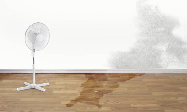 Professional Water damage restoration in South Paris, ME