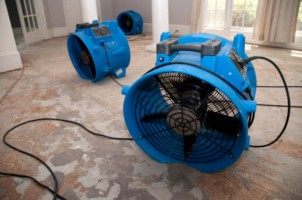 Best Water damage restoration near me  in South Paris, ME