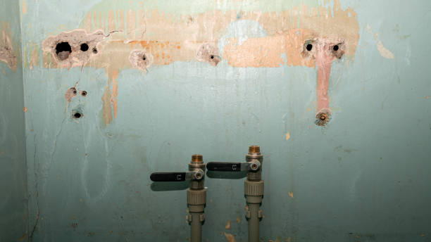Best Basement water damage restoration  in South Paris, ME