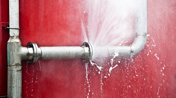 Best Professional water damage repair  in South Paris, ME